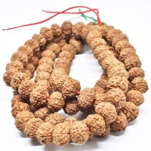 7 Mukhi Natural Rudraksha Beads Mala Nepal