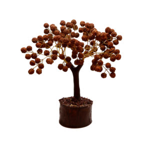 Buy 100% Original Rudraksha Tree Aemorio