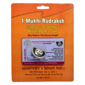 Ek Mukhi Silver Plated Om Pendant with Lab test Certified