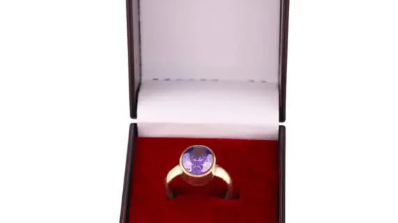 Chopra Gems Ruby Manik Panchdhatu Astrology Ring for Men & Women Brass Ruby  Rhodium Plated Ring Price in India - Buy Chopra Gems Ruby Manik Panchdhatu  Astrology Ring for Men & Women