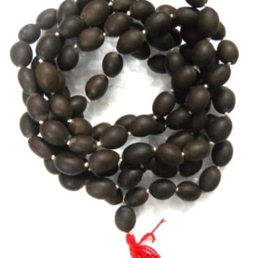 Kamal Gutta (Lotus Seed) Mala/ Locket with 108 Beads
