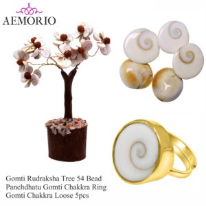 Gomti Rudraksha Tree with Panchdhatu Gomti Ring & Gomti Chakra 5Pcs