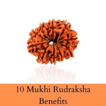 10 Mukhi Rudraksha Benefits