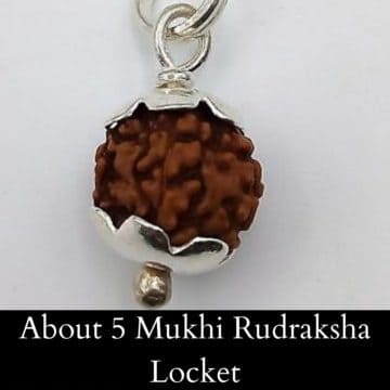 About 5 Mukhi Rudraksha Locket