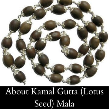 About Kamal Gutta (Lotus Seed) Mala
