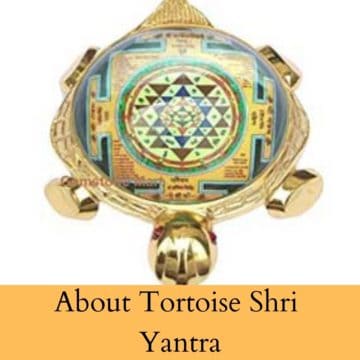 About Tortoise Shree Yantra
