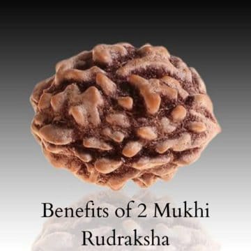 Benefits of 2 Mukhi Rudraksha