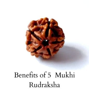 Benefits of 5 Mukhi Rudraksha