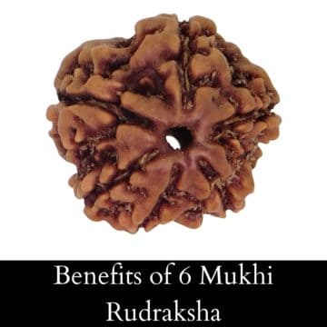 Benefits of 6 Mukhi Rudraksha
