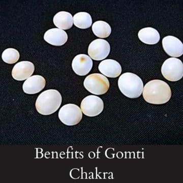 Benefits of Gomti Chakra