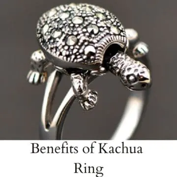 Tortoise RIng in Pure Silver for Men Women online @ USA UK