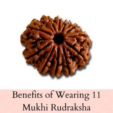 Importance & Benefits of Wearing 11 Mukhi Rudraksha