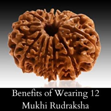 Benefits of Wearing 12 Mukhi Rudraksha