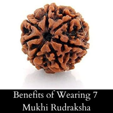Benefits of Wearing 7 Mukhi Rudraksha