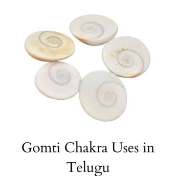 Gomti Chakra Uses in Telugu கோமதி சக்ராவின் பயன்கள்