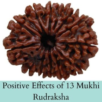 Positive Effects of 13 Mukhi Rudraksha