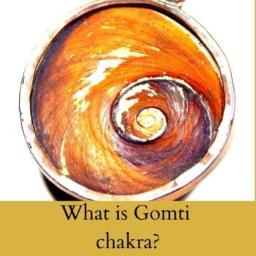 what is Gomti chakra ? கோமதி சக்ரா என்றால் என்ன? गोमती चक्र क्या है?
