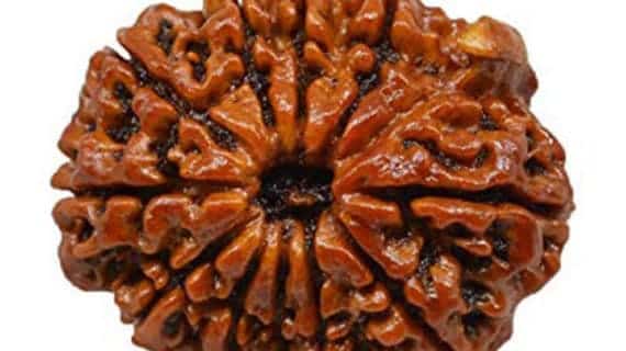 11 Mukhi Nepal Rudraksha Bead, Lab Certified & 100% Original