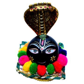 AEMORIO VISHNU SHALIGRAM SHILA VISHUNU GOD SHILA