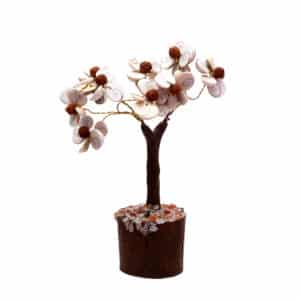 Gomti Chakra Tree with 54 Rudraksha Beads (White and Brown)