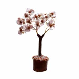 Gomti Chakra Tree with 102 Rudraksha Beads