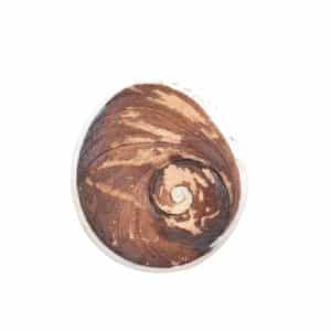 Buy Natural Gomti Chakra 4-5 cm at Low Price
