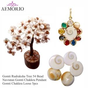 Natural Gomti Rudraksha Tree with Panchdhatu Gomti Pendant & Gomti Chakra 11 Pcs