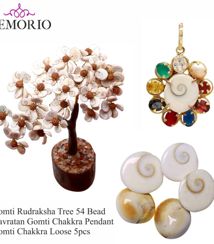 Natural Gomti Rudraksha Tree with Silver Gomti Pendant & Gomti Chakra 5Pcs