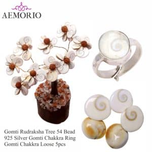 Buy 1 Natural Gomti Rudraksha Tree with Silver Gomti Ring & Get 1 Free Gomti Chakra 5Pcs